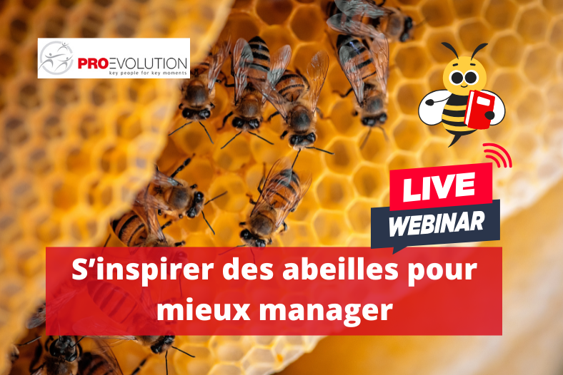 Webinar s’inspirer des abeilles pour mieux manager